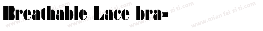 Breathable Lace bra字体转换